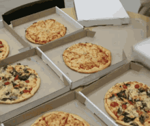 South Shore Rotary – 2023 Monthly Pizza Crawl